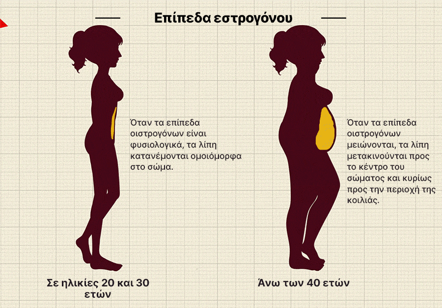 Κατά τη διάρκεια των 20 και 30 ετών, τα φυσιολογικά επίπεδα οιστρογόνων βοηθούν στην ομοιόμορφη κατανομή του λίπους σε όλο το σώμα...
