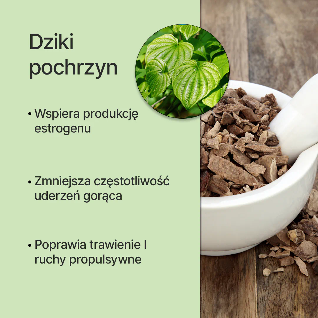 1. Dziki pochrzyn zawiera związki (fitoestrogeny), które działają podobnie do estrogenu.